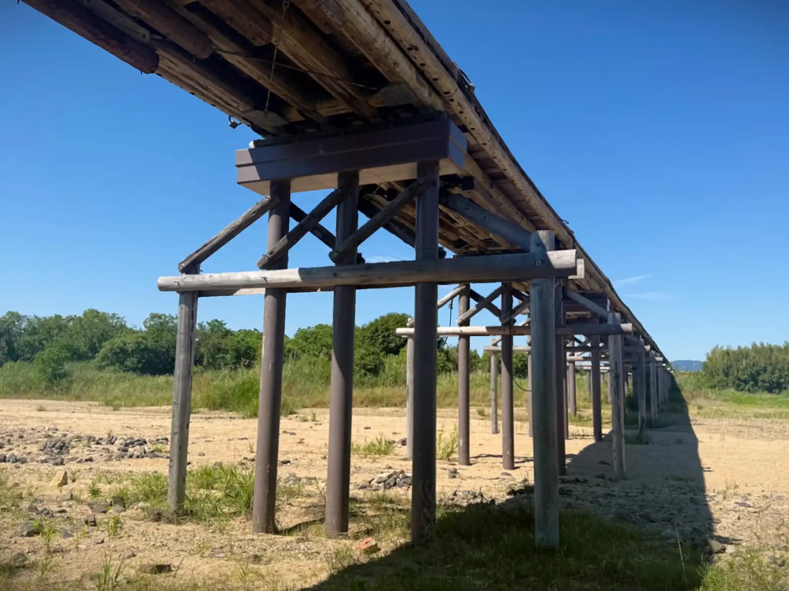 Under the deck on the dry riverbed, the log piers and cross-braced bents march off into the distance. The whole structure is timber, built to give way gracefully rather than fight the water.