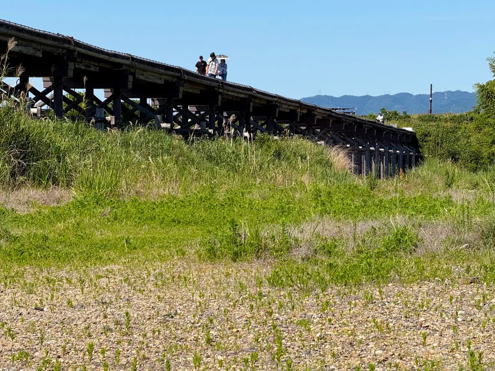 Walkers, one shaded under a parasol, cross high above the summer grass. The X-braced timber trestles carry the deck a few meters over the riverbed.