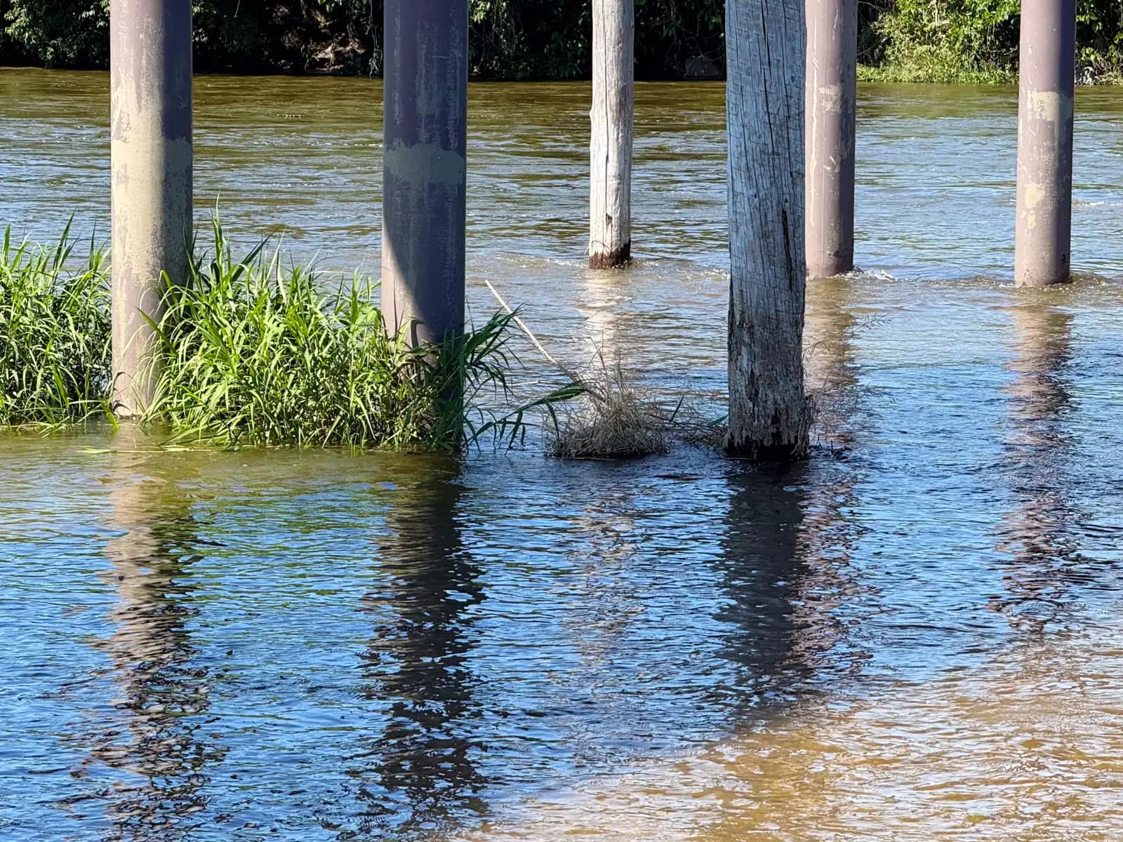 Close up, the timber piers stand in the flowing Kizu, a clump of grass caught around their feet. When the water climbs higher, the deck above lifts free.