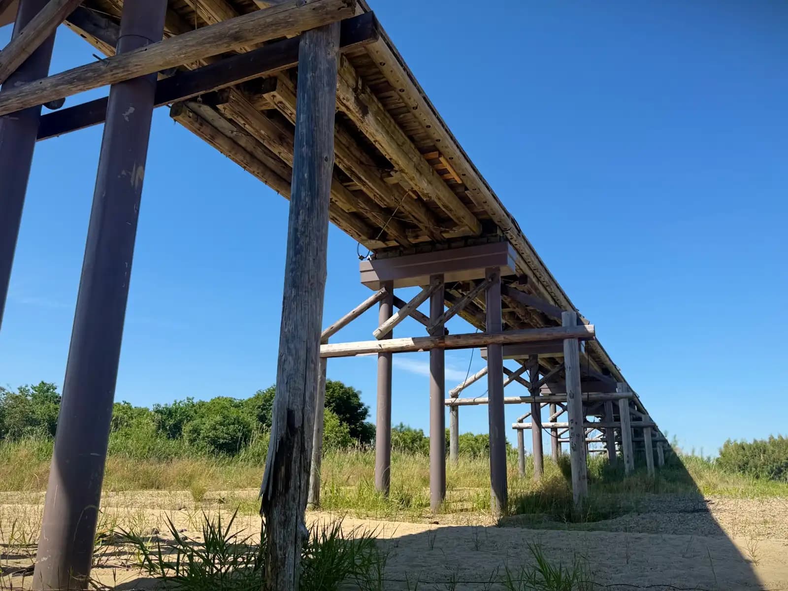 The deck recedes on its rows of piers; in the foreground one weathered pile has split and frayed -- repairs here are constant.