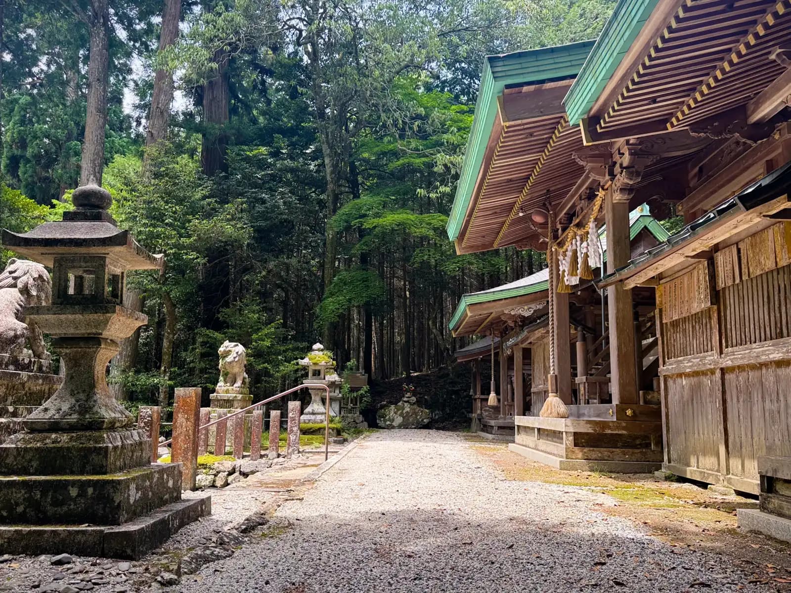 Looking along the halls from the gravel forecourt -- copper-green roofs and hanging bell-ropes on the right, a large stone lantern and komainu on the left, cedars closing in behind.