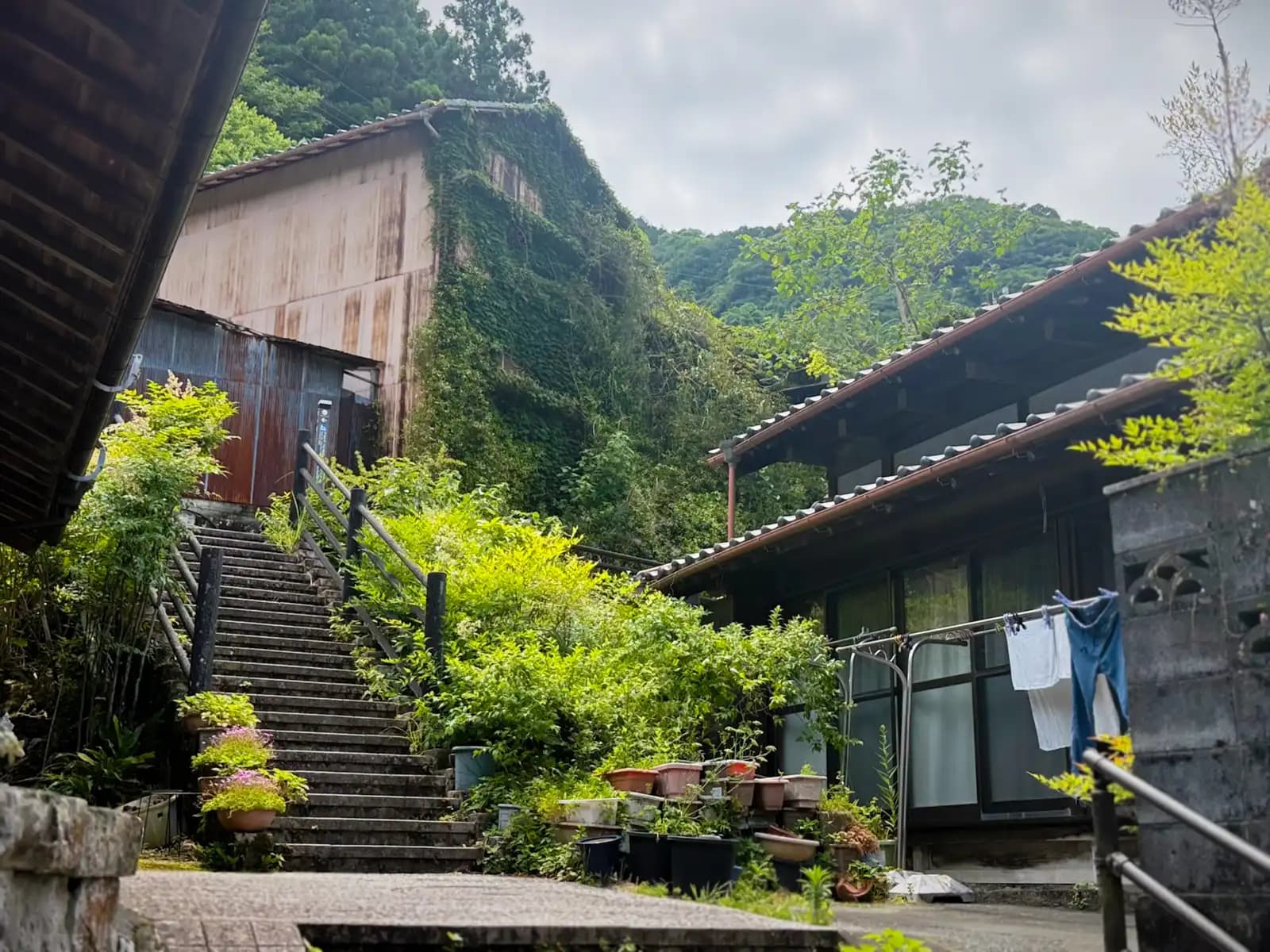 Steep stone steps next to a house. Laundry out to dry and rows of potted plants.