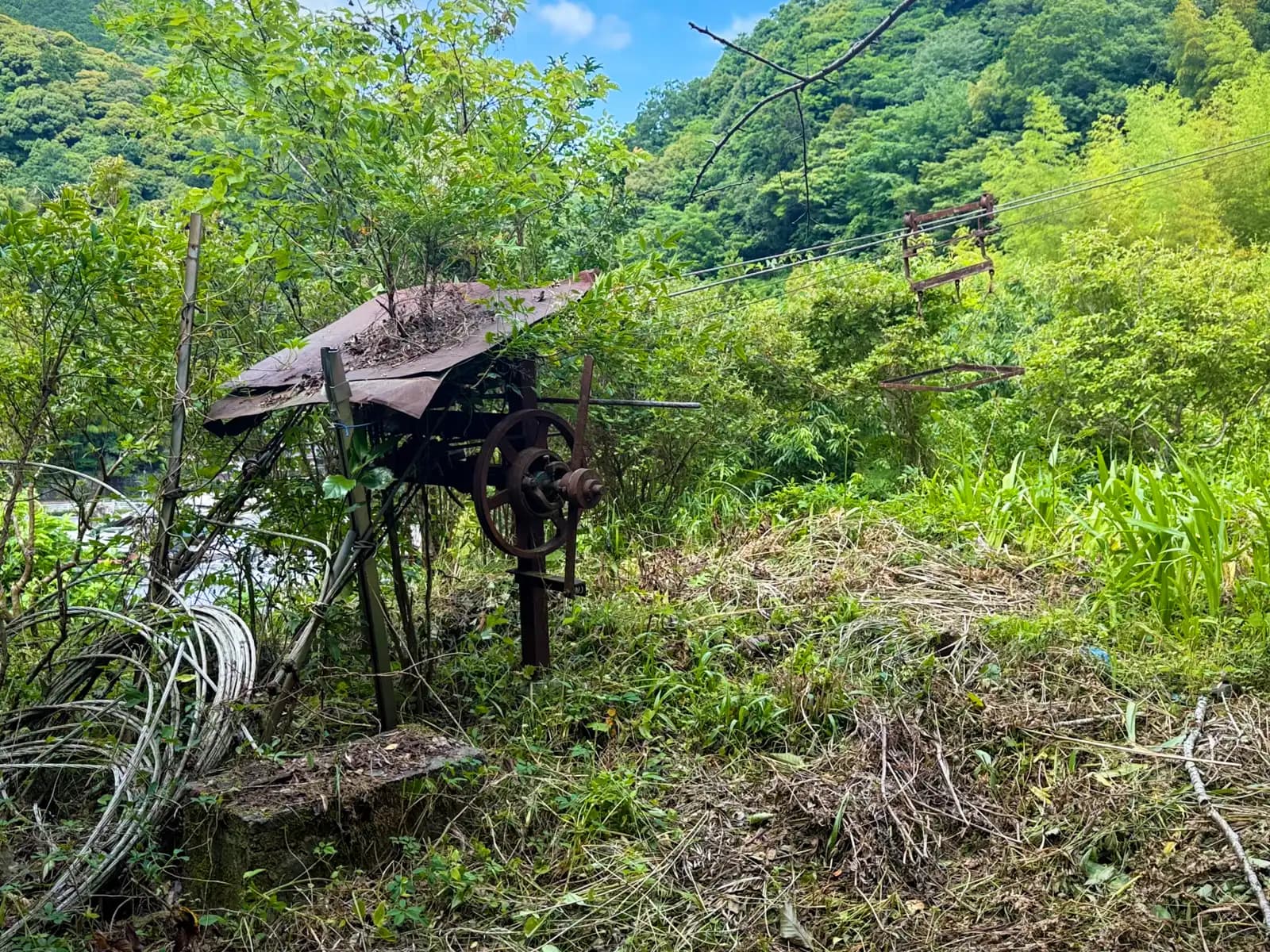 An old hand-cranked farm machine, rusted and overgrown, left on the hillside.