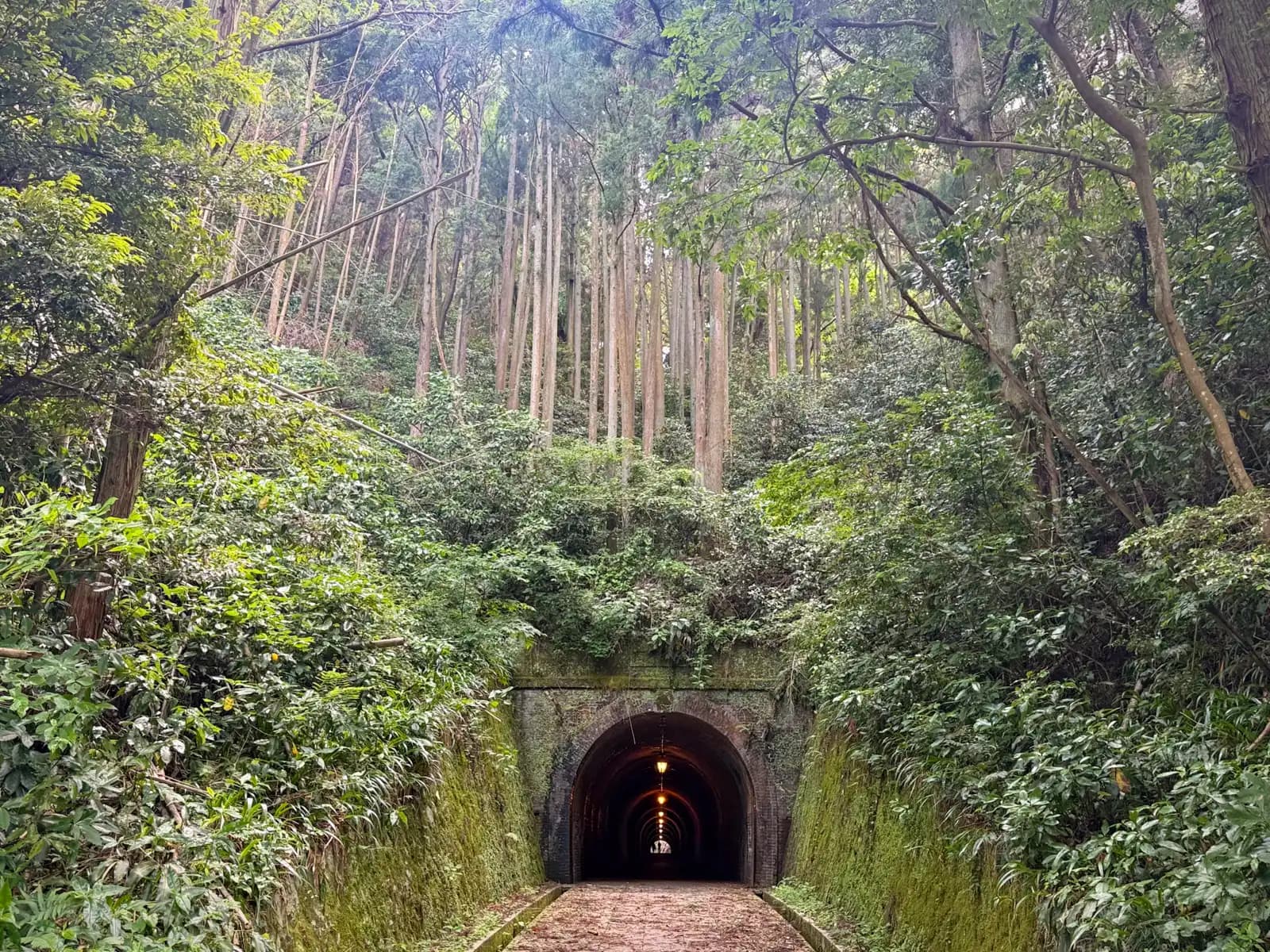 The brick tunnel portal at the end of the forest path, framed by tall cedars.