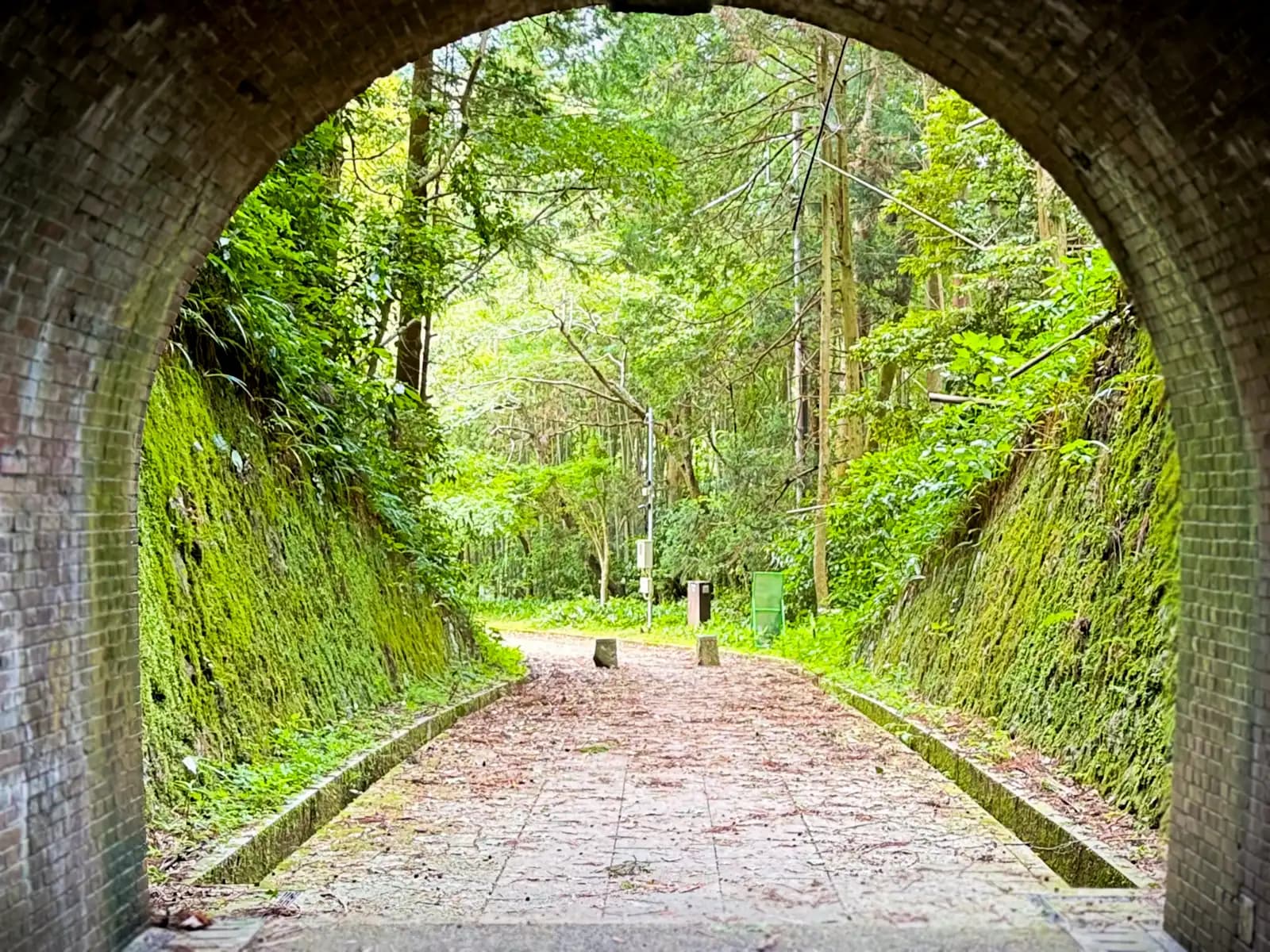 Looking out the far end of the tunnel. Moss-covered walls frame the green path outside.