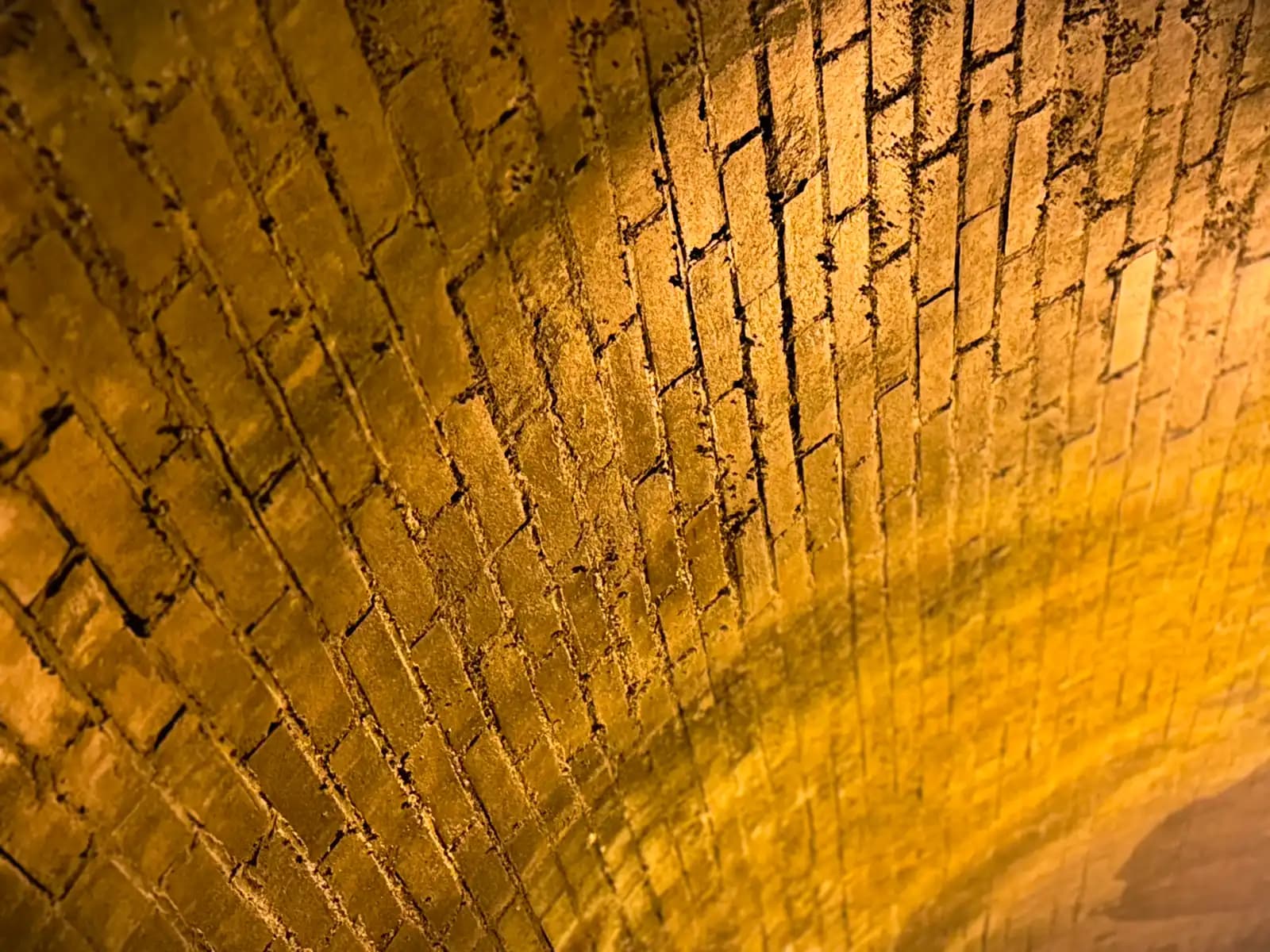 Close up of the tunnel brick ceiling, lit gold by a lamp.