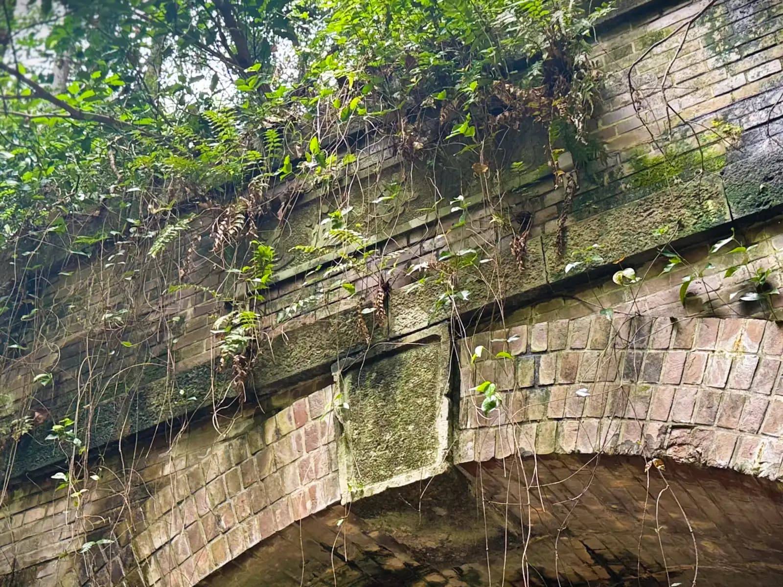 The brick arch of the portal, draped with vines and ferns.