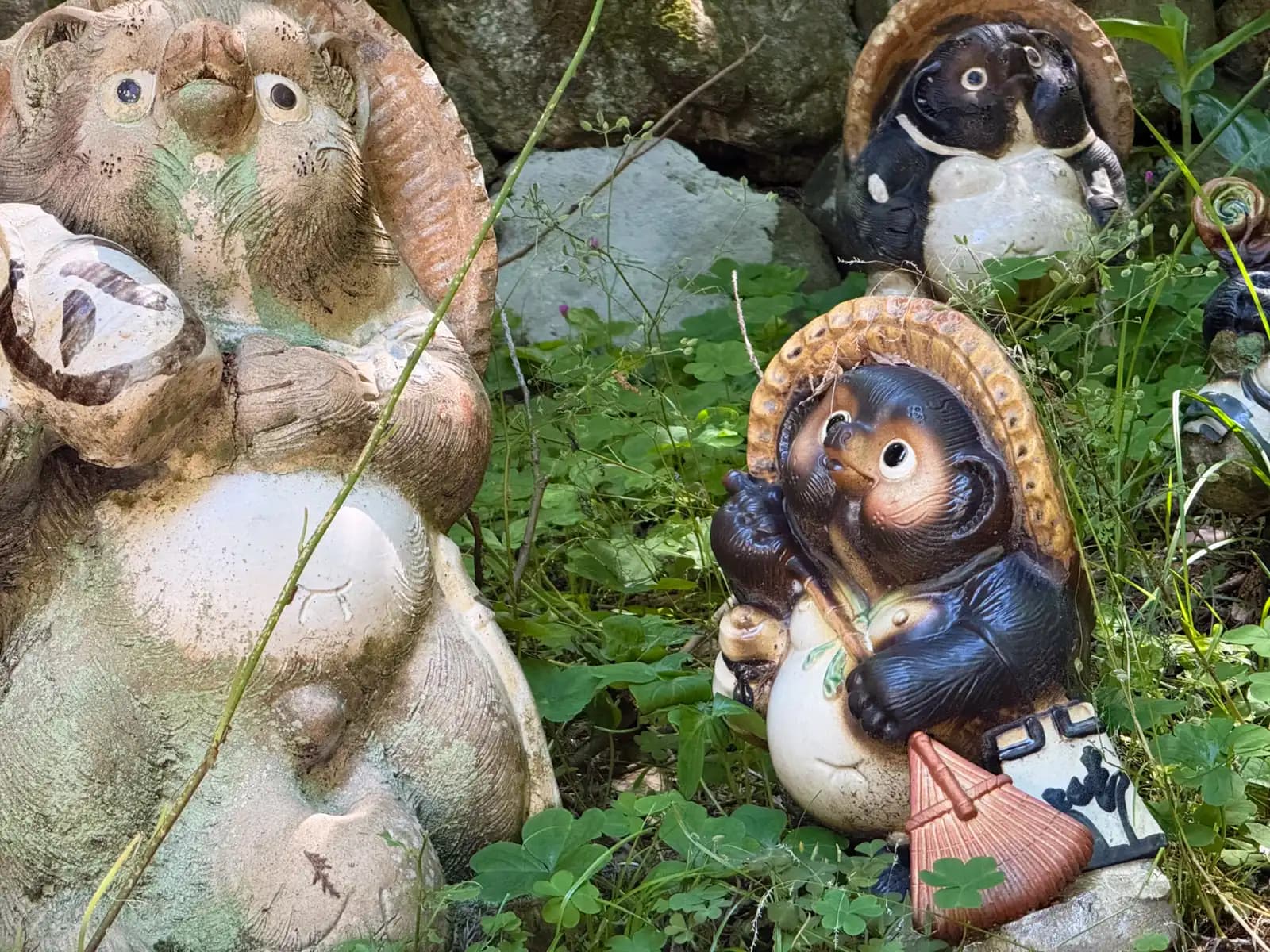 Weathered tanuki half-lost in the clover, a dark-glazed one grinning under his hat.