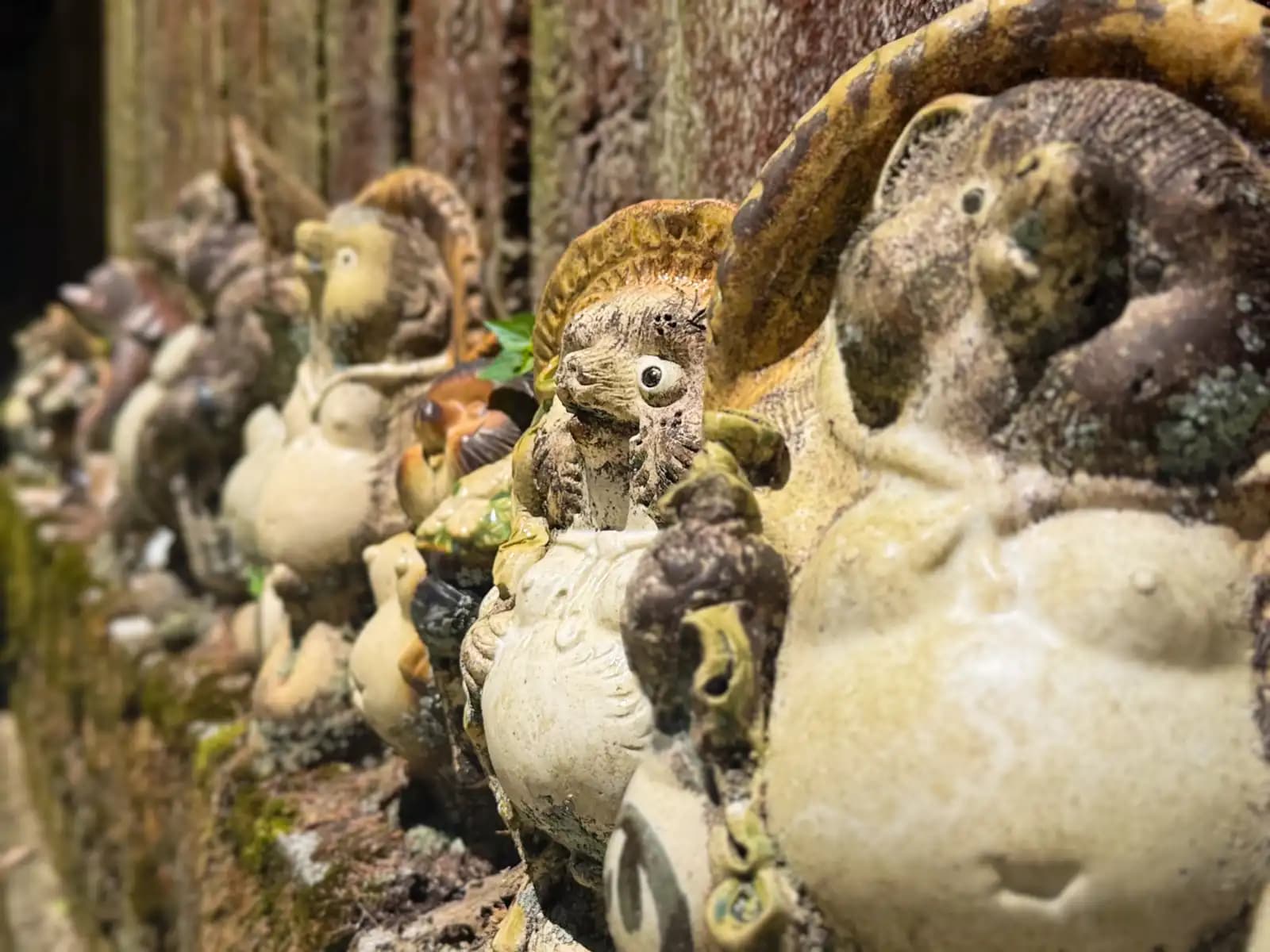 A line of little tanuki, their glazes worn soft by weather.