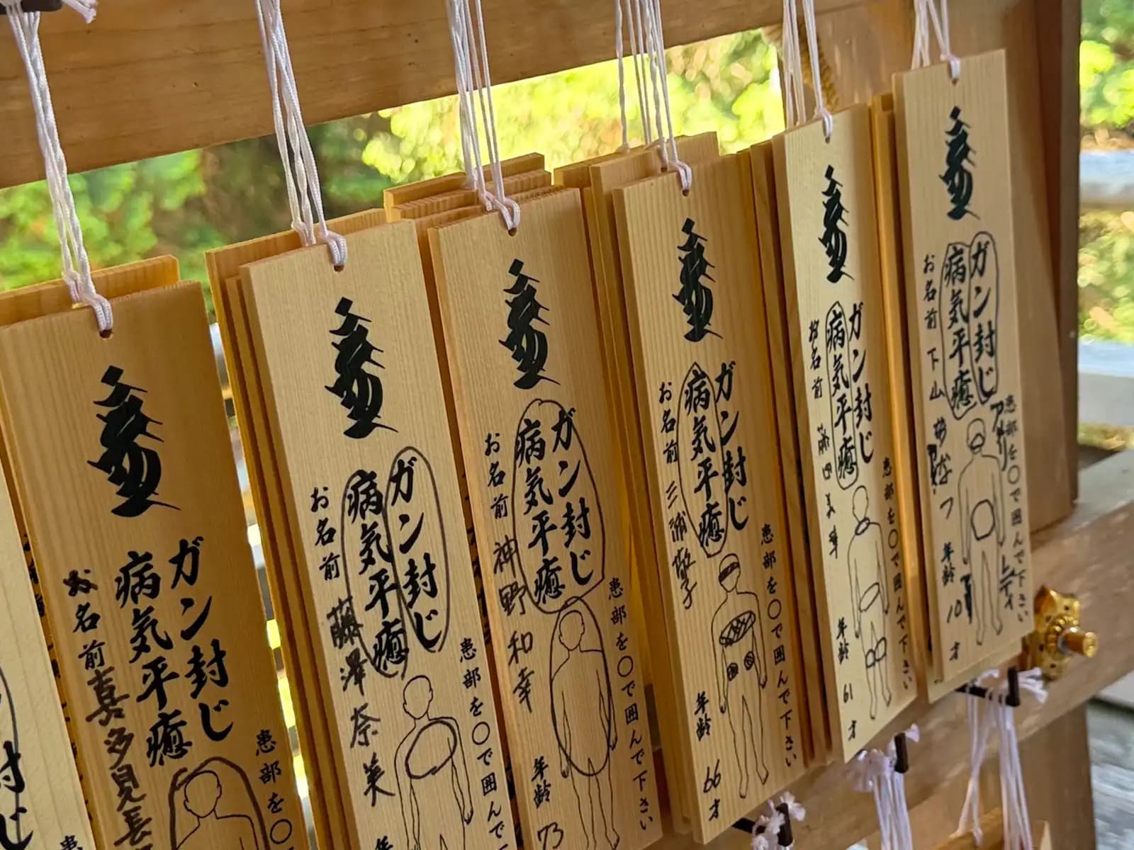 Wooden ema hung in rows, each a prayer to seal cancer and heal illness -- what the temple is best known for.