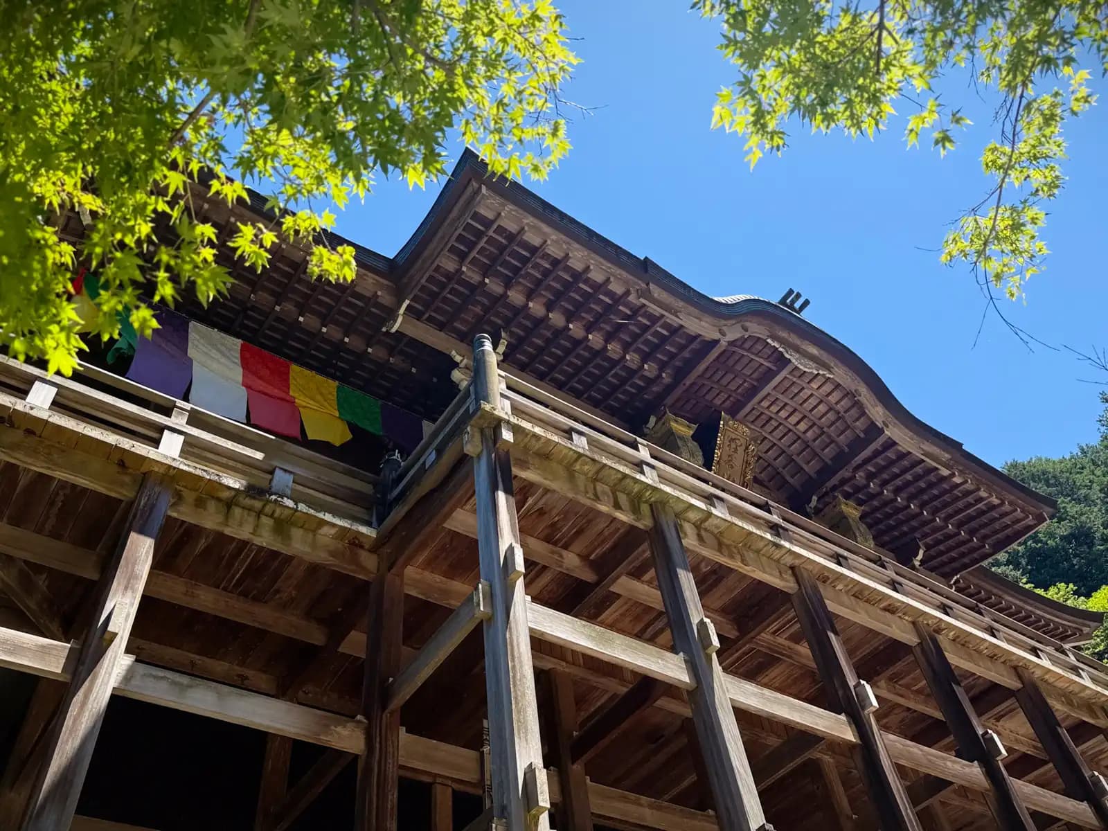 The great sweeping roof of the hall from below, fresh maple leaves against a clear sky.
