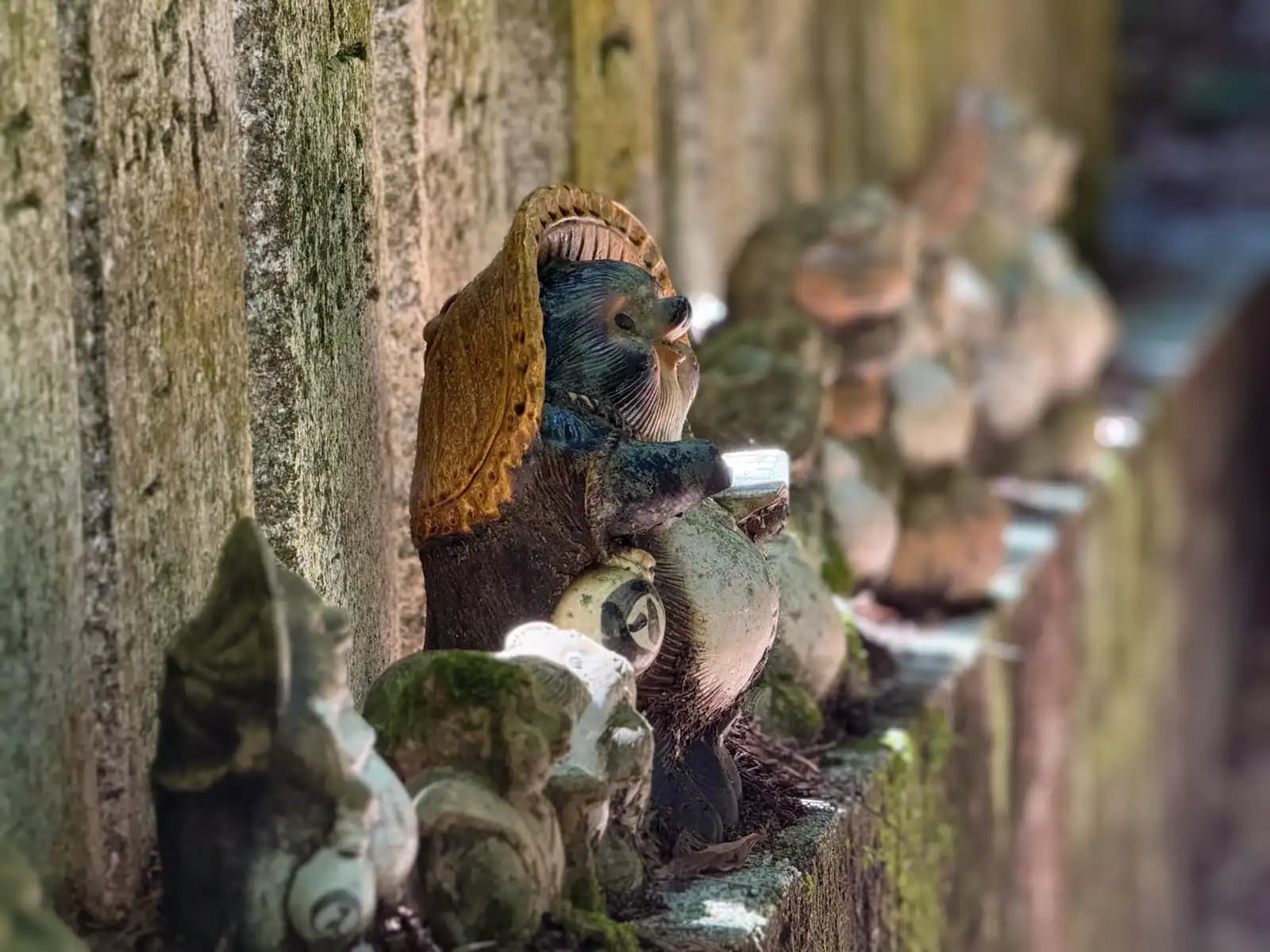 A weathered rank of tanuki in profile, warm light catching their straw hats.