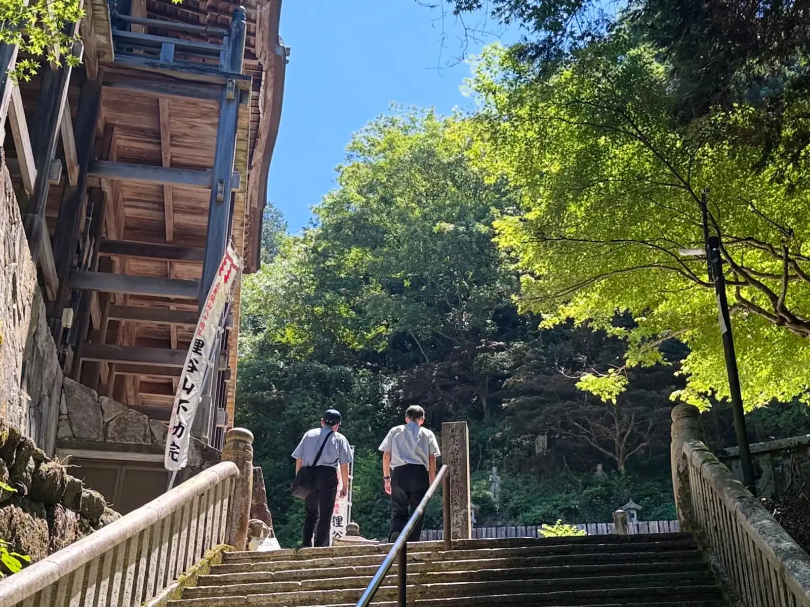 Two visitors climb the last of the steps into the bright green of early summer.