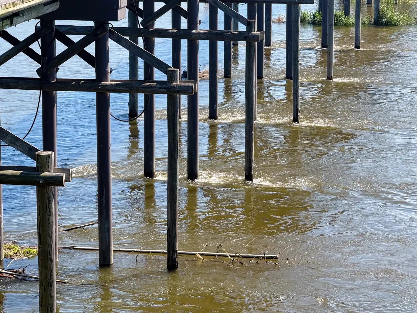 The piers stand deep in fast, silty water, debris snagged around their bases -- the river testing the bridge.