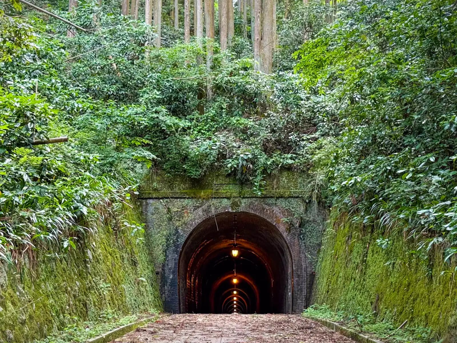 The moss-covered brick portal, set into a deep green cutting. A line of lamps runs back into the dark.