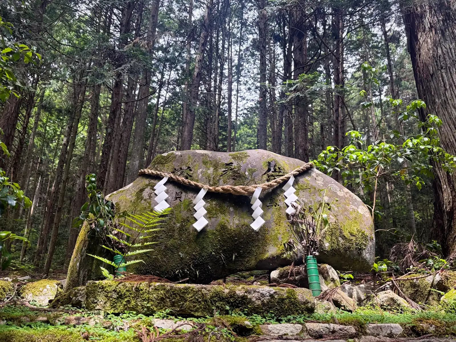 A great moss-covered boulder bound with a shimenawa rope and white shide streamers, marking it as sacred. It stands among the tall cedars that make up the shrine's sacred grove.
