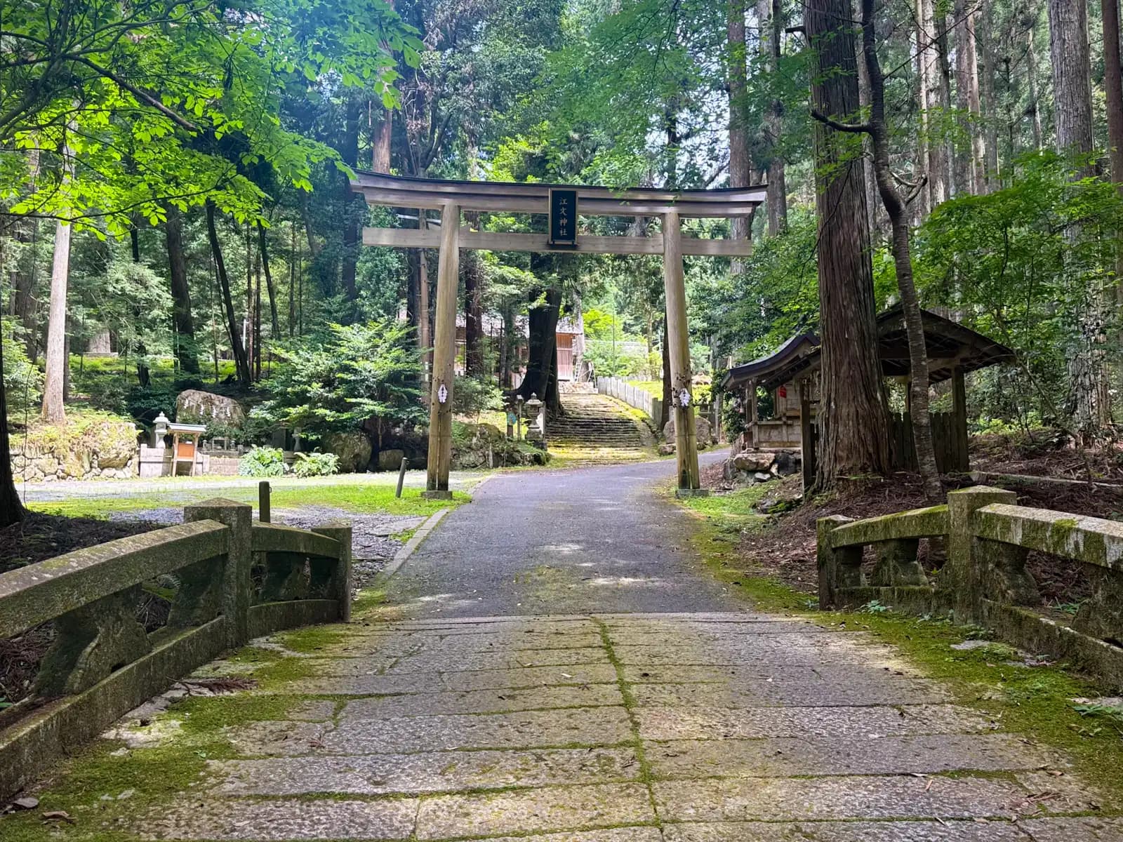 A moss-edged stone bridge and a second torii mark the approach into the shrine's cedar grove. Stone lanterns line the paved path as it rises toward the steps ahead.