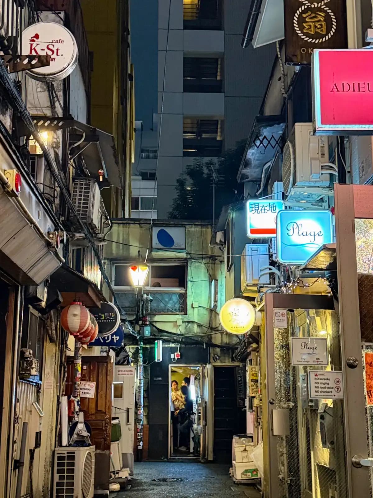 Signs for K-St. cafe, Plage and Adieu light up the end of an alley, where a couple of people stand in a doorway.