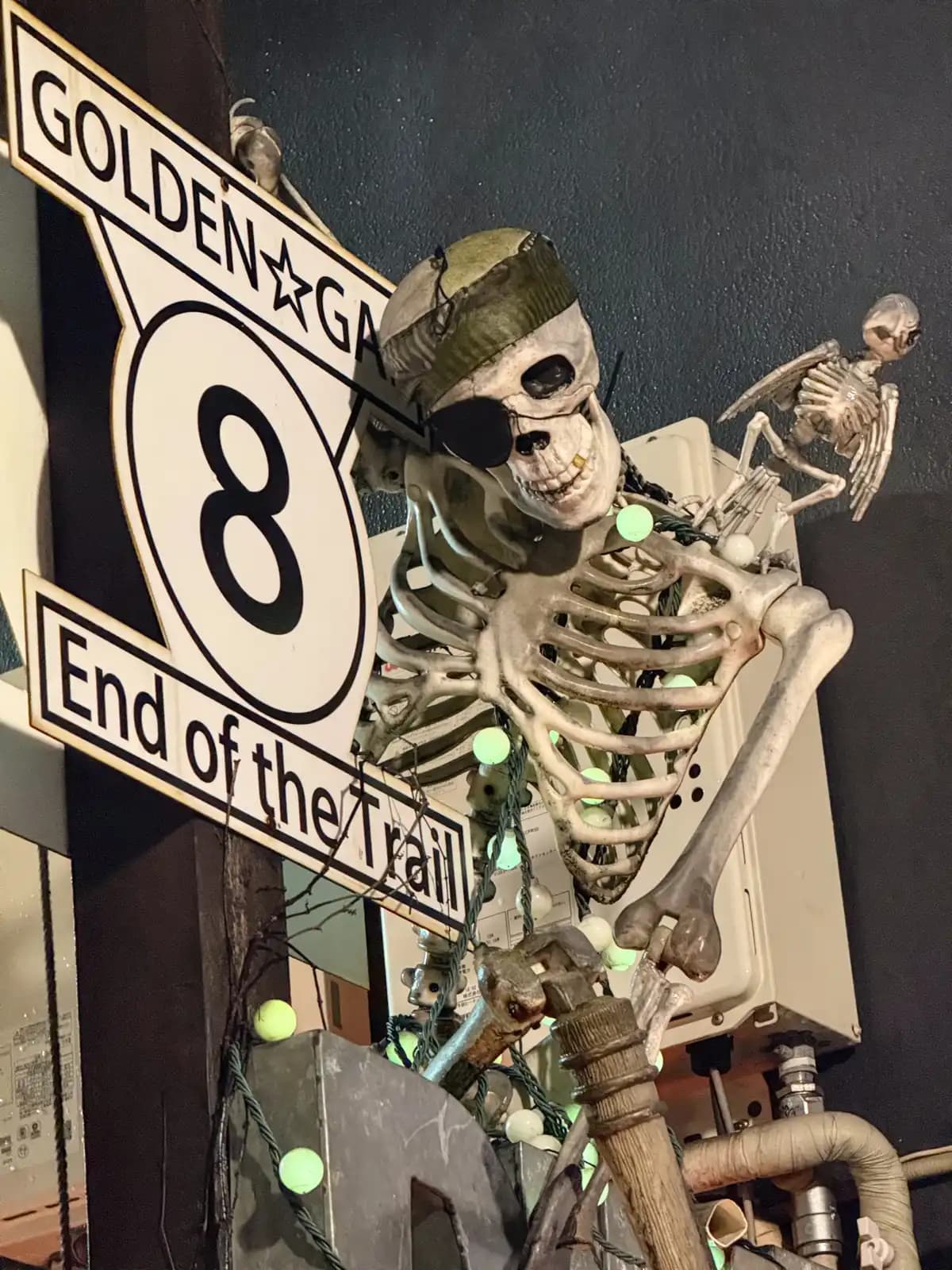 Closer look at the pirate skeleton with an eye patch and a gold tooth, with a skeleton bird perched behind it.