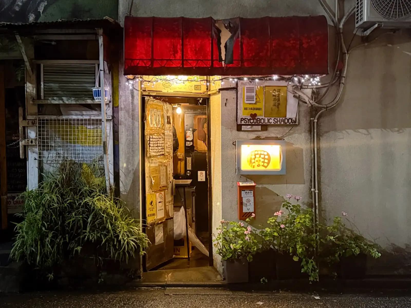 The open door of Psycobolic Shadow under a red awning, with fairy lights and potted plants out front.
