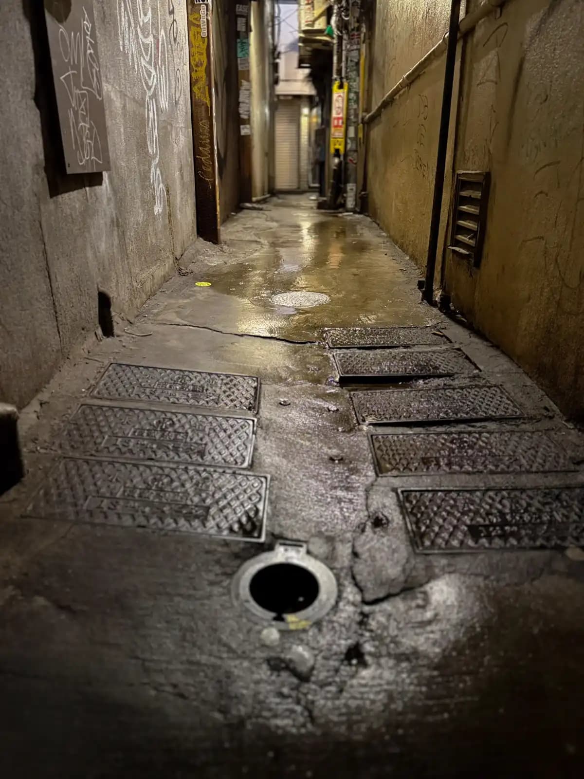 An empty back passage with wet concrete, a row of metal drain covers and graffiti on the walls. Even back here, there's not a single piece of trash on the ground.