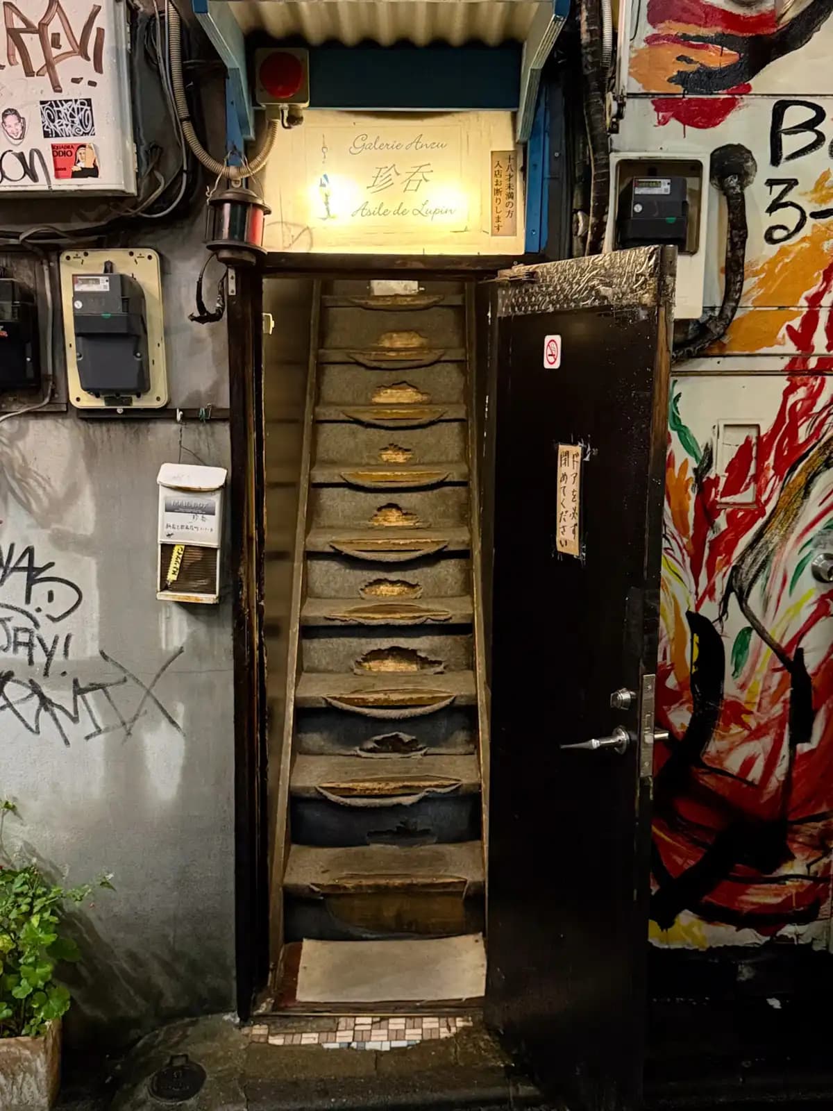 A steep, worn carpeted staircase behind an open door, with a lit sign for Asile de Lupin at the top and a painted mural next to it.
