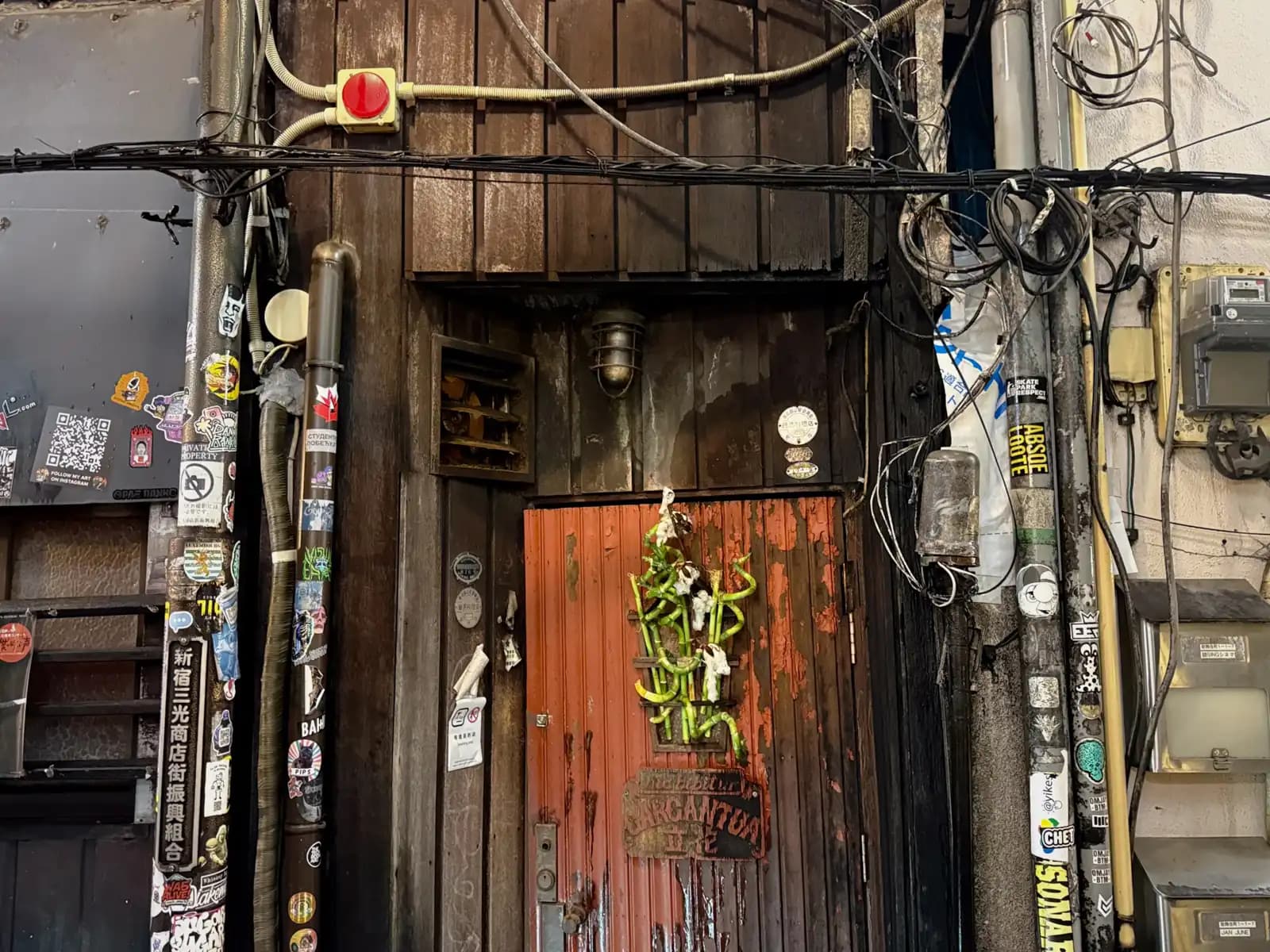 The peeling orange door of Gargantua, with a green plant decoration on it and pipes covered in stickers on both sides.